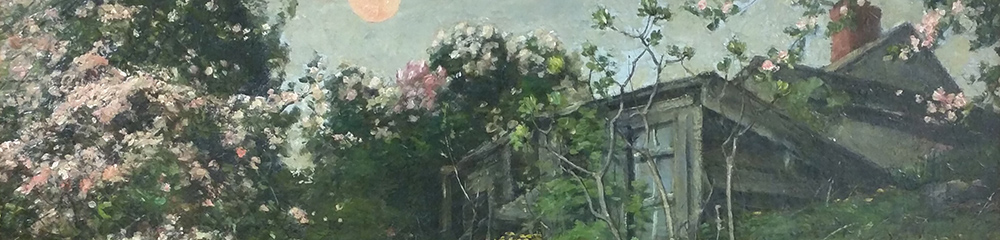Petunia detail