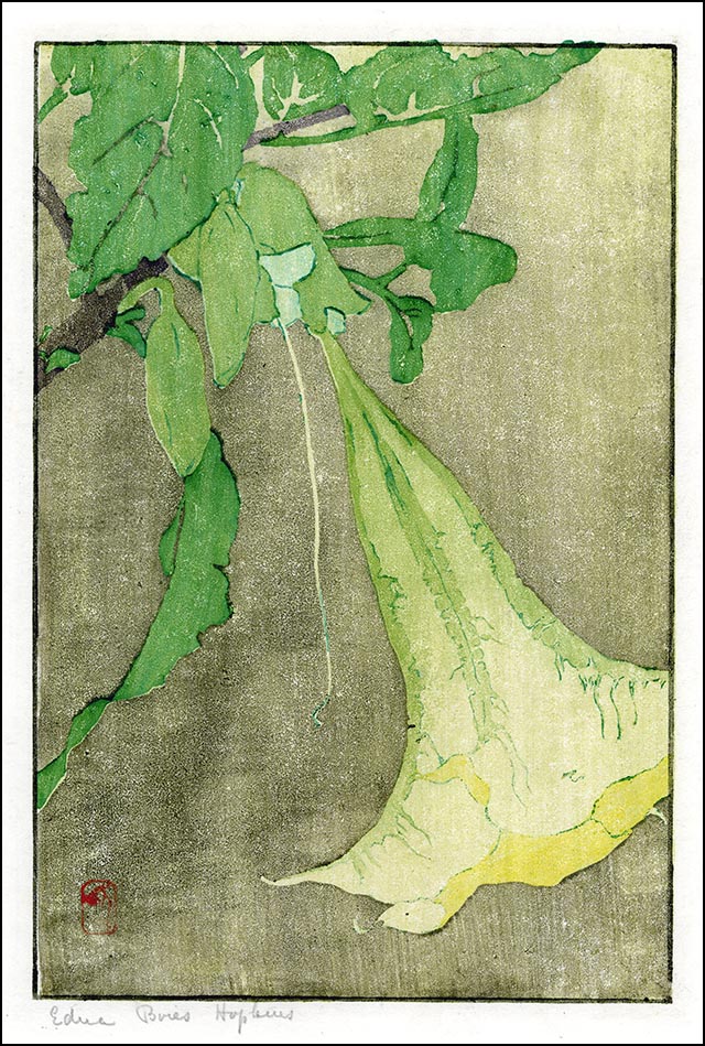 Patterson - White Rose