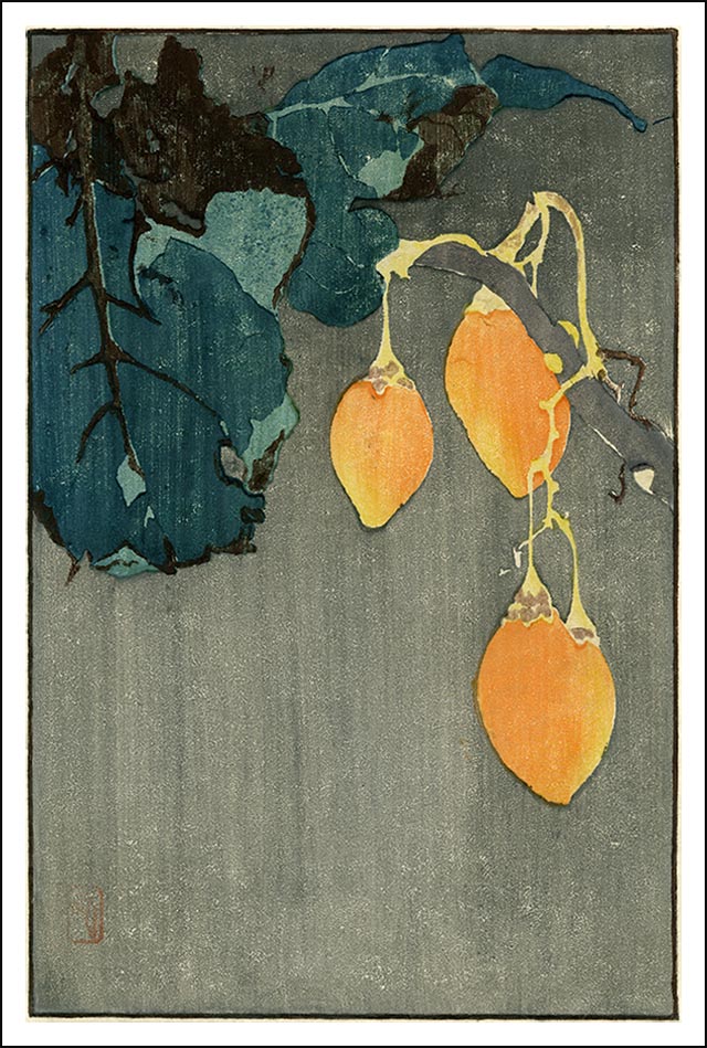 Hopkins - Indian Tomato