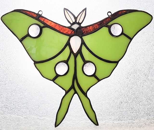 Luna Moth
