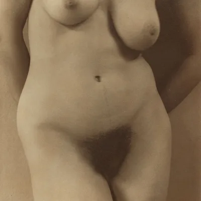 Alfred Stieglitz - Georgia O’Keeffe, Torso, 1918-1919