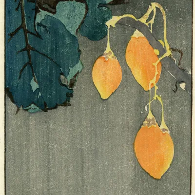Edna Boies Hopkins - Indian Tomato, c. 1907-1909